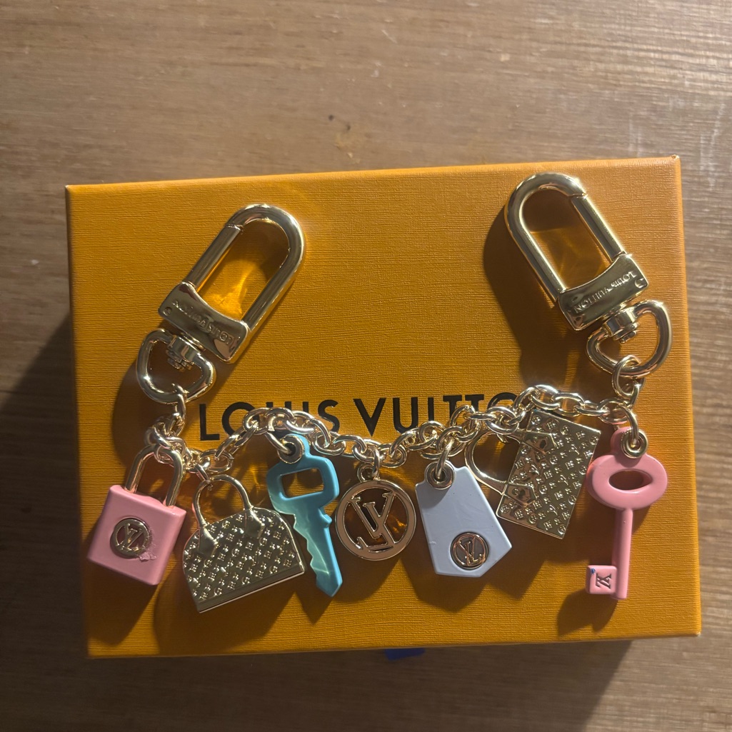 Louis Vuitton Multicolor Bag Charm